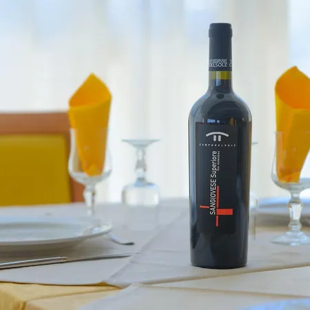 Sans Souci Hotell 3*