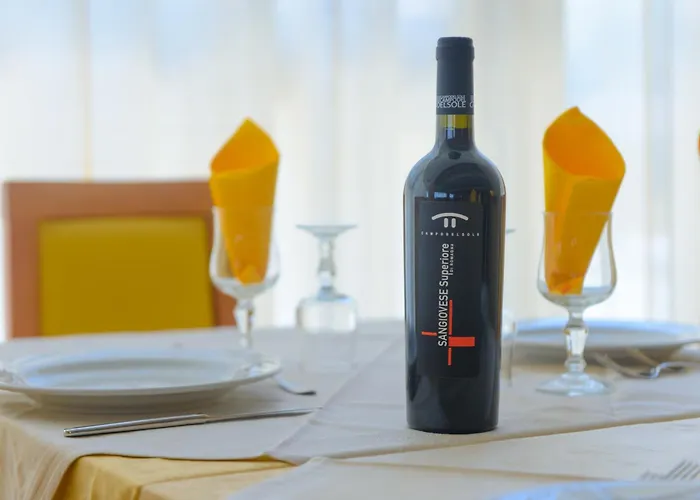 Sans Souci فندق 3*